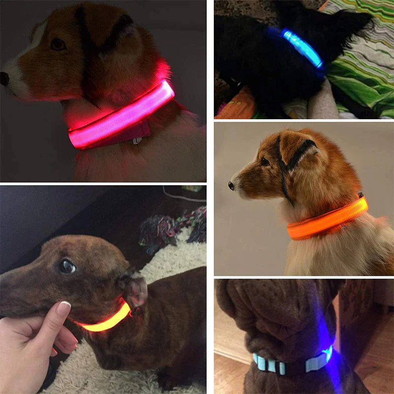 LED Adjustable Dog Collar Blinking Flashing Light