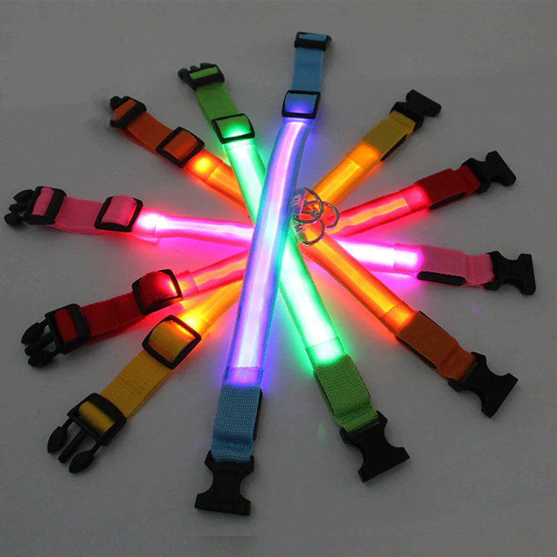 LED Adjustable Dog Collar Blinking Flashing Light