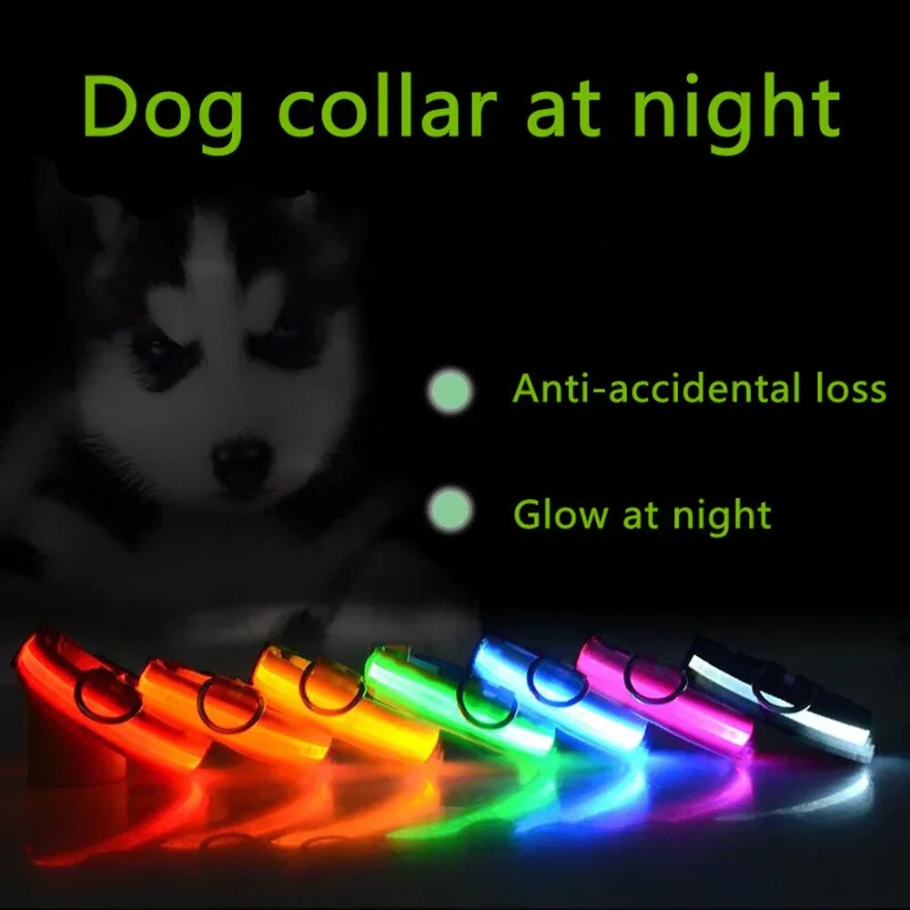 LED Adjustable Dog Collar Blinking Flashing Light