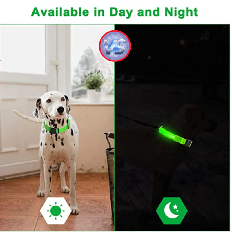 LED Adjustable Dog Collar Blinking Flashing Light