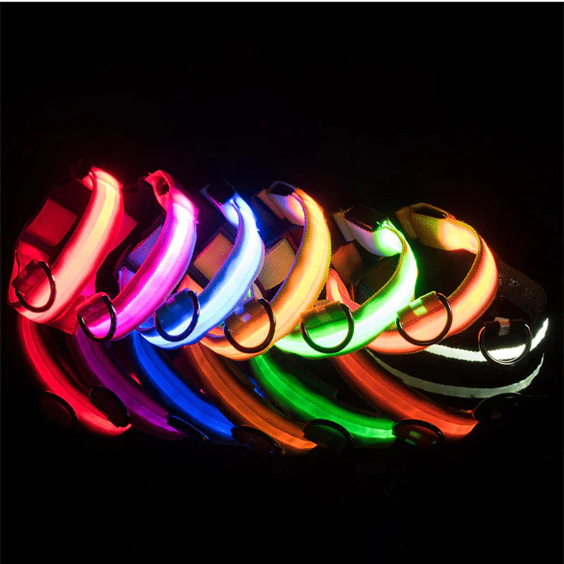 LED Adjustable Dog Collar Blinking Flashing Light