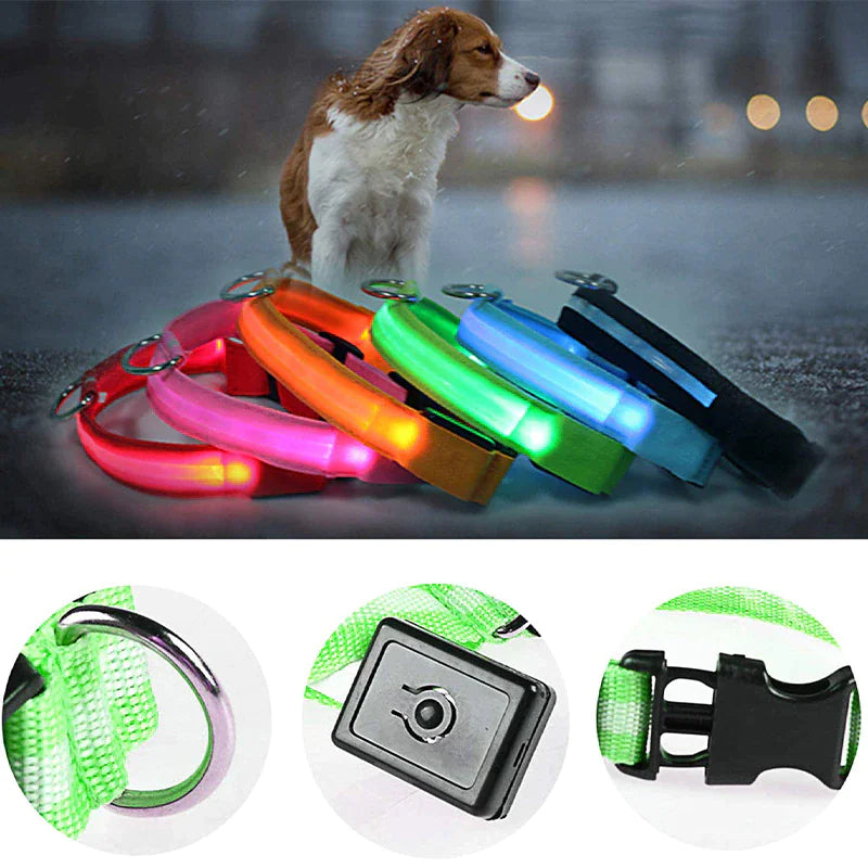 LED Adjustable Dog Collar Blinking Flashing Light