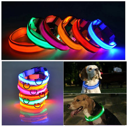 LED Adjustable Dog Collar Blinking Flashing Light