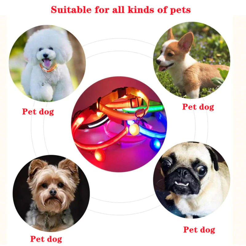 LED Adjustable Dog Collar Blinking Flashing Light