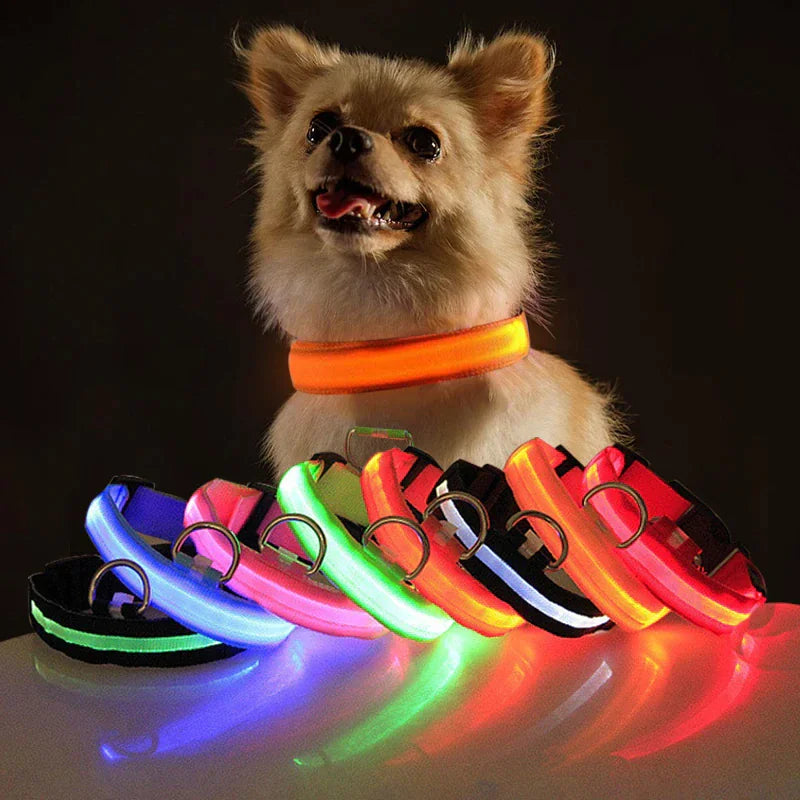 LED Adjustable Dog Collar Blinking Flashing Light